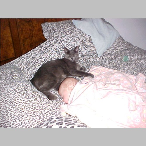 02-12-29__VB2 + Kitty_02.jpg